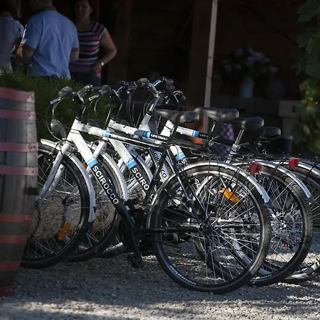 بيت ضيافة Kassai Fogado